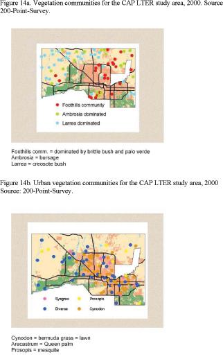 Fig 14 a) Vegetation communities for the CAP LTER study area, 2000. Source: 200- Point-Survey; b) Urban vegetation communities for the CAP LTER study area, 2000.