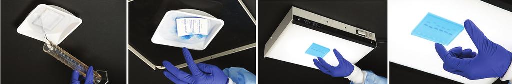 FlashBlue Stain Simple & Rapid Stain in Less Than 5 Minutes! 1 2 3 4 After electrophoresis, wear gloves and place the gel in a small gel staining tray.