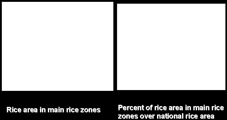 main rice