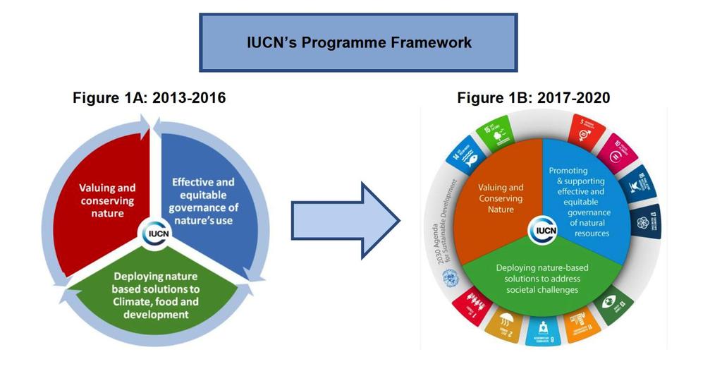 About IUCN IUCN