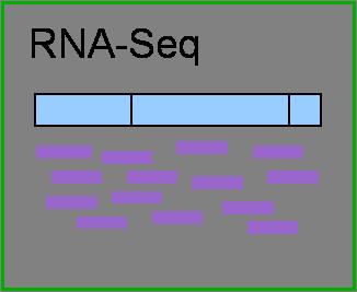 RNAseq Sequence mrna PolyA pulldown or ribo-depletion Reads