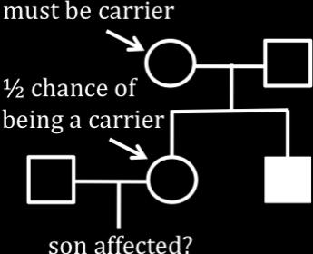 ½ chance that woman is carrier x ½ chance she will pass trait on to her the trait on to her son (in which case he would be affected) = 1/4 b.
