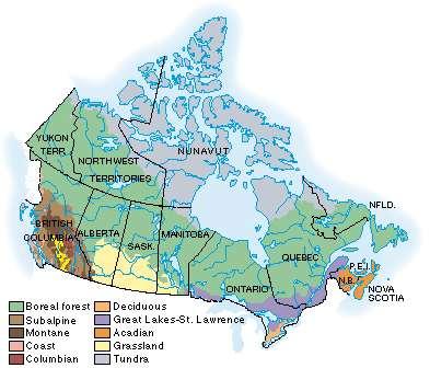 region of Western Canada (60% of forested area) In the east mixtures of