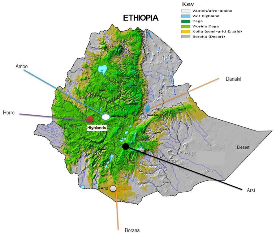 Ethiopia range of