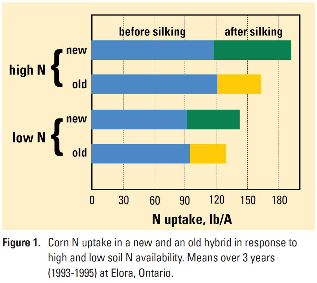 New hybrids take up more N after silking Increases NUE by better using N