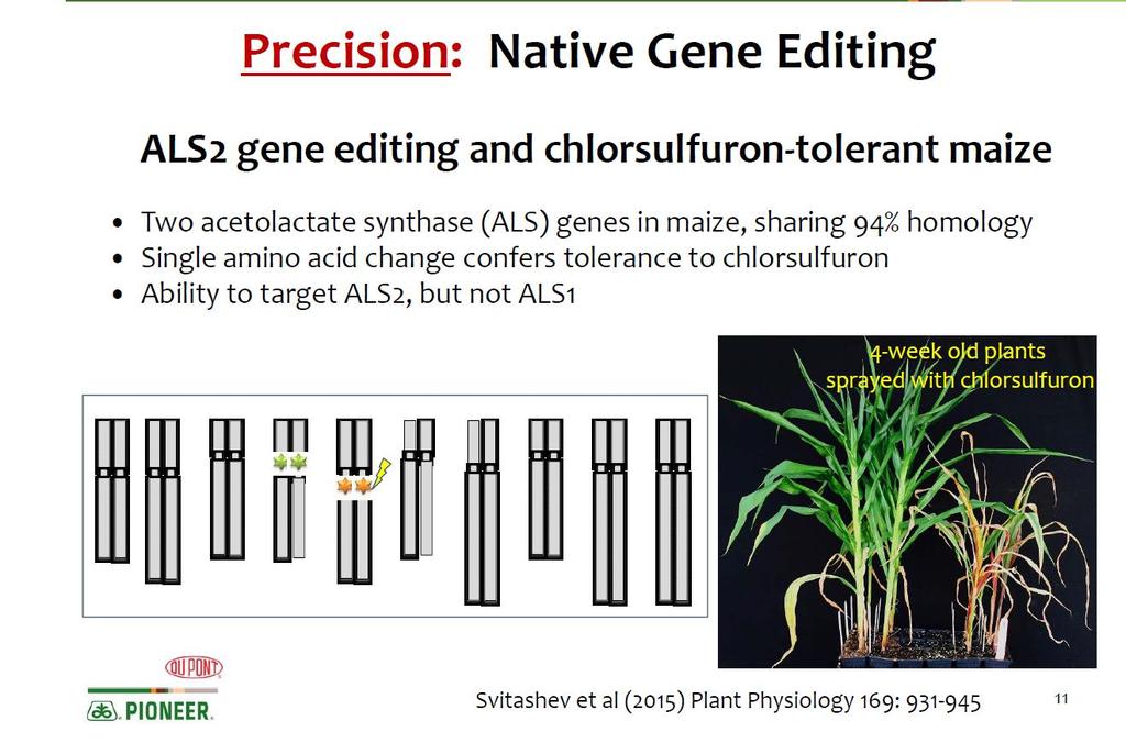 Precision ALS2 gene editing for