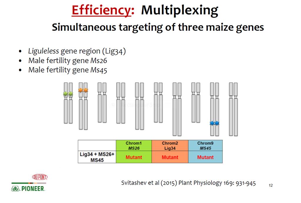 High Efficiency: Multi-Targeting Simultaneous targeting of