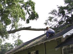 What Problems Can I Fix? Actually, there aren t many occasions where a homeowner should do the work needed to correct a tree safety problem.