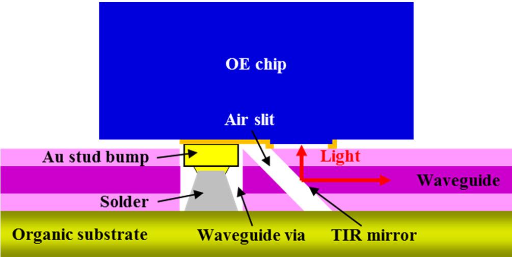 Figure 2. Schematic cross section of the OE chip assembled on the waveguide-integrated organic substrate.