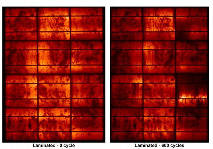 Cells breakage in laminated modules Impact of 600 Thermal Cycles