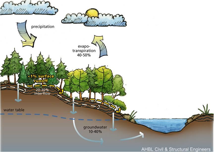 LID: A stormwater and land use management strategy that strives to mimic pre-disturbance hydrologic processes of infiltration, filtration, storage, evaporation and transpiration by emphasizing