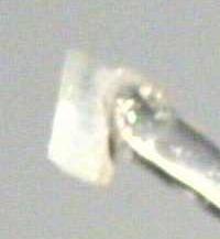. After 3 min exposure the single crystal retained its monoclinic high density guest free form 1b, and a further 3 min