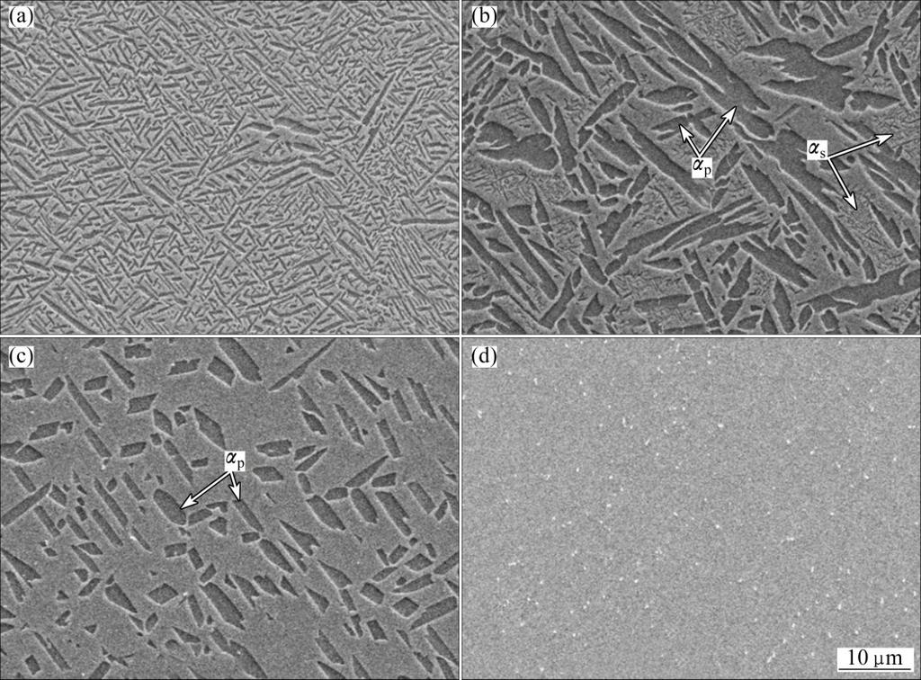 Qiang ZHANG, et al/trans. Nonferrous Met. Soc. China 26(2016) 2058 2066 2061 Fig. 3 Microstructures at bottom (a), middle (b, c) and top (d) of 25 mm as-deposited sample Fig.