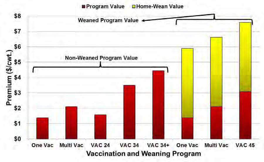 Table 6 shows the various vaccination programs evaluated and the resulting premiums from each program.