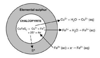 ATMOSPHERIC LEACHING Chalcopyrite ferric leaching process is impaired due to the sulphur layer produced in the course of the leaching reaction, and copper leaching efficiencies are low normally.