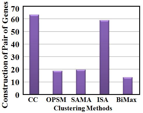 from gene expression data and the submatrics or unique patterns from the gene expression data.