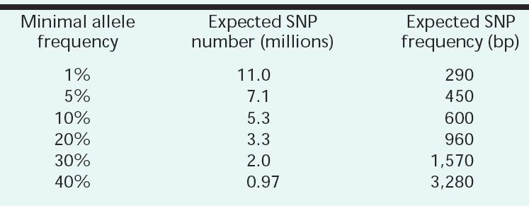 Development of a genome-wide SNP map: How many SNPs? Feb 2001-1.42 million (1/1900 bp) Nov 2003-2.0 million (1/1500 bp) Feb 2004-3.3 million (1/900 bp) Mar 2007-5.