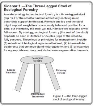 Ecological Forestry Disturbance