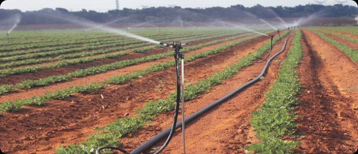 Land Resources b)agriculture (farming) Extensive irrigation, allows for farming in dry areas; heavy pumping from groundwater is using up
