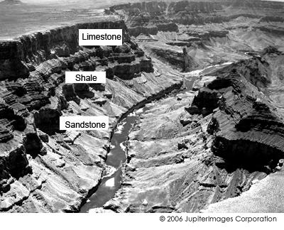 7 According to this diagram of Grand Canyon Rock Layers, which layer is the youngest and which is the oldest? A The sandstone is the youngest and limestone is the oldest.