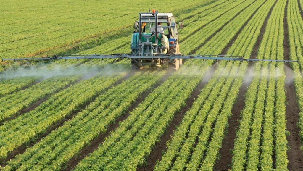 Fertilizers Nitrogen fertilizers increase osmotic pressure change soil ph, soil organic matter, litter input change food supply, soil