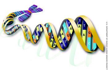 explained how DNA carried information and could be copied.