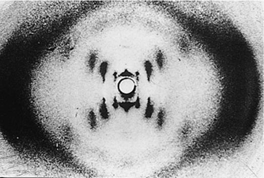 Rosalind Franklin 1953 Crystallized DA and X-ray diffraction From picture it