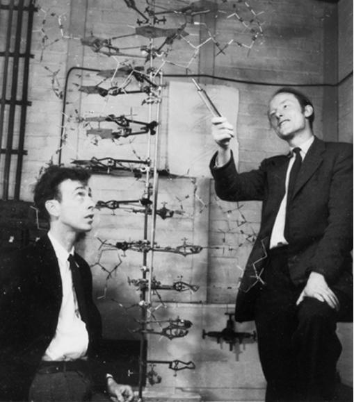 Watson and Crick James Watson