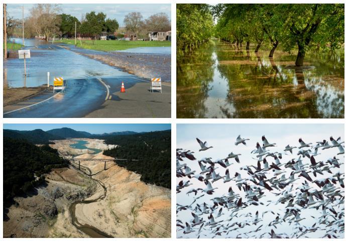 Flood risk reduction * Drought preparedness * Aquifer replenishment Ecosystem enhancement * Groundwater remediation/water quality *