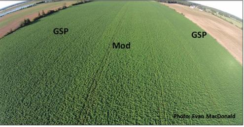 Net crop value takes into account potential differences of implementing the 4R program including differences in the source and rate of nutrients applied and differences in cost to application methods.