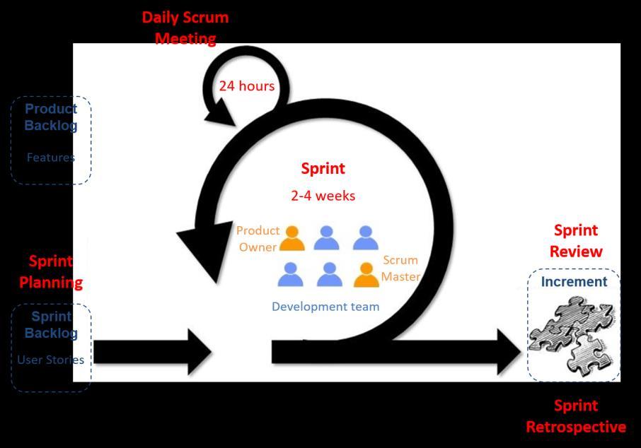 Figure 7. The Scrum process. The product owner, the development team and the scrum master compose the scrum team.
