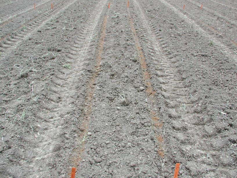 METHODS Planting date: May 25, 2018 Plots: 2 rows x 20 ft; treatments