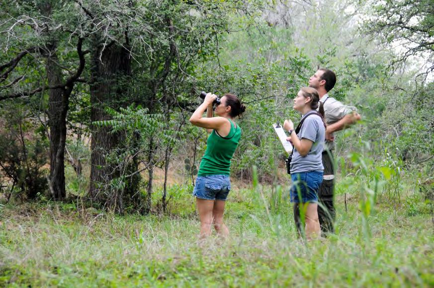 Wildlife Management Practices Census Deer