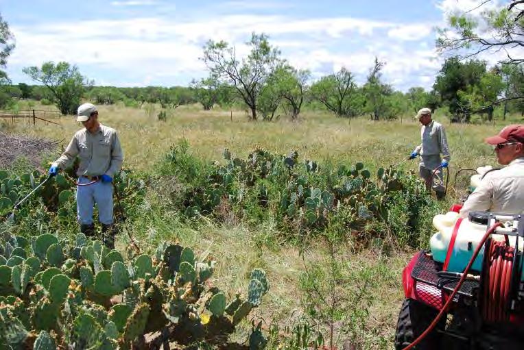 Wildlife Management Practices Habitat Control Grazing