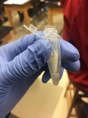 DNA Purification Materials 1) Sterile 0.