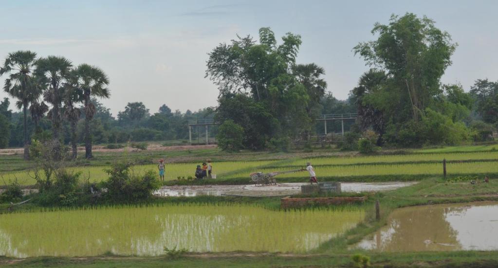 With the frequency of environmental distress, the distance from markets, the low profit typically attained through animal husbandry and agriculture, and the risk perceived to be involved in rice