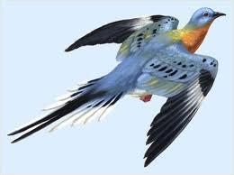 Harvesting, Hunting, and Poaching Excessive hunting can also lead to extinction as seen in the 1800s and 1900s when 2 billion passenger pigeons were hunted to extinction.