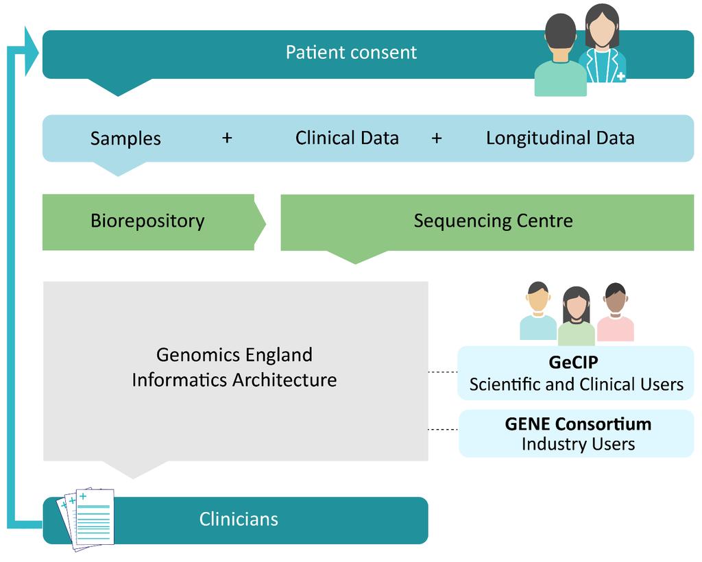 How the 100,000 Genomes Project works 13 NHS Genomic Medicine Centres