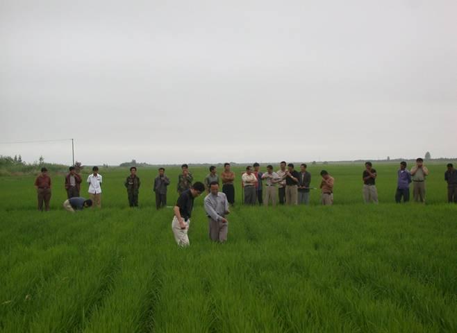 large scale application and the general promotion. The technology was widely applied in many rice irrigation districts of Jiangsu Province, Heilongjiang Province and Ningxia Hui Autonomous Region.