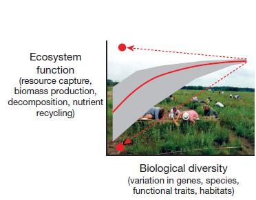 The biodiversity ecosystem functioning relationship from several hundred experiments.