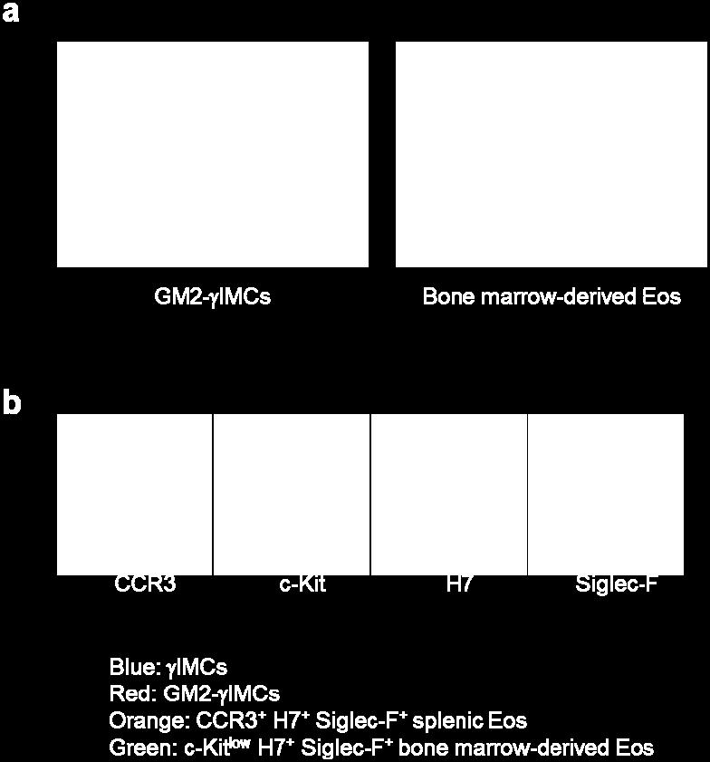 Bone marrow-derived Eos were isolated and cultured.