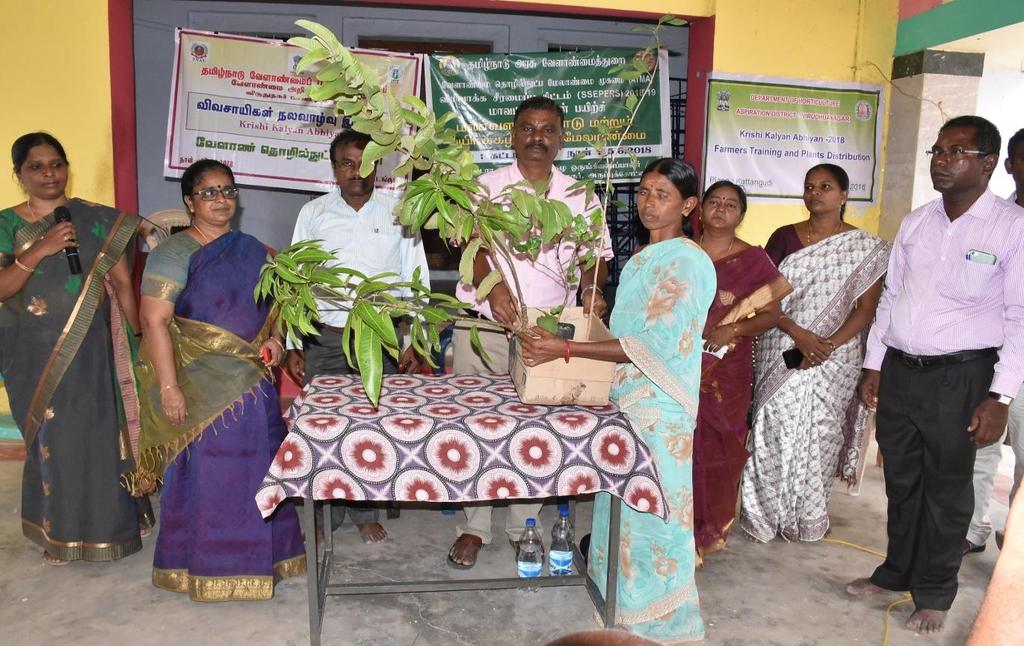 [ Distribution of Seedlings Department of Horticulture has distributed fruit seedlings such as mango, guava, pappaya and acid lime to 200 beneficiary farmers at
