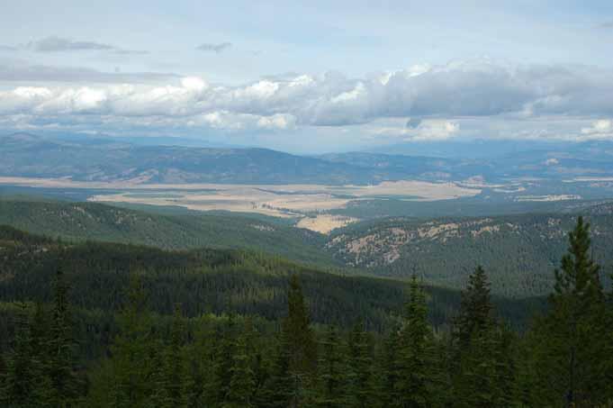 Guide to Forest Aesthetics in Montana Actively managing forests to insure their health and value often requires activities such as road building and commercial logging.