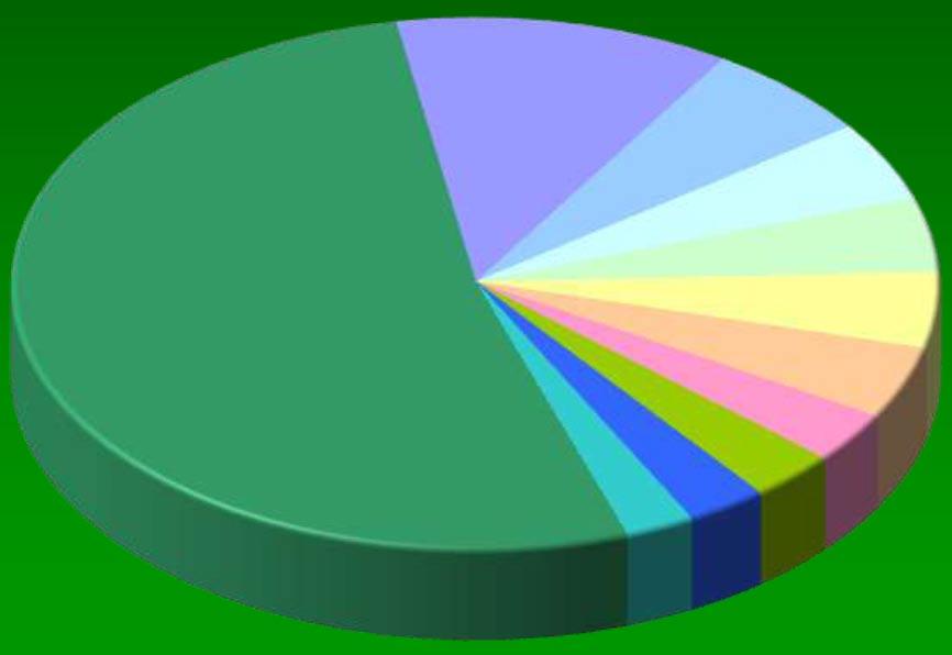 Species Composition American beech 11.8% Callery pear 6.0% Tulip tree 4.8% Boxelder 4.6% other species 52.