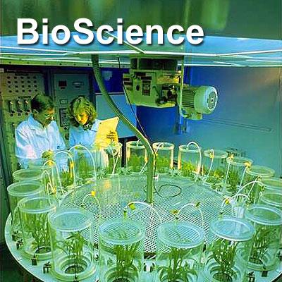 BioScience - Expand in Growing Biotechnology Key Key Figures 2001 2001 ** Turnover: 0.2 0.