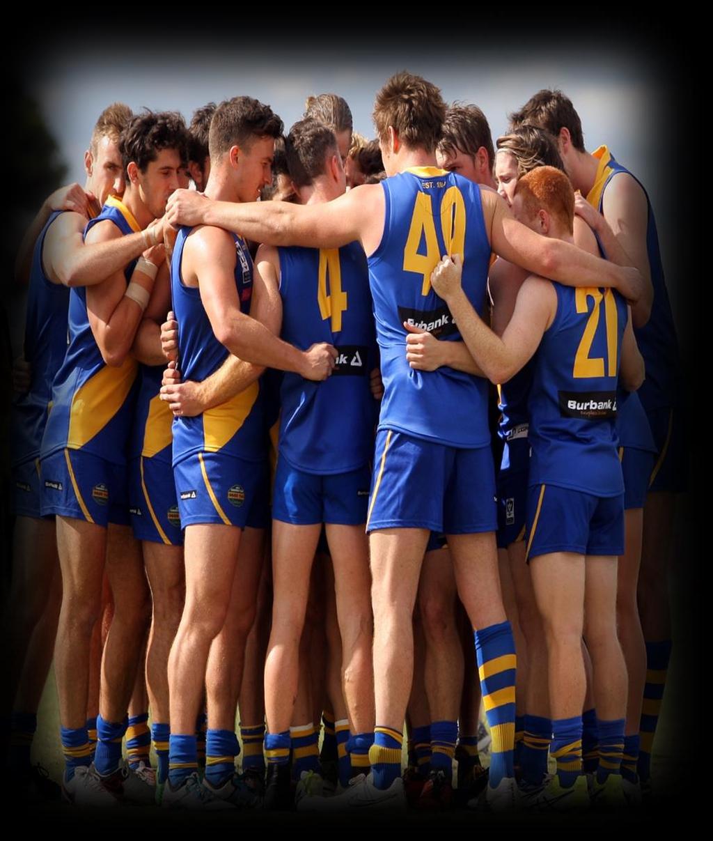 STRATEGIC PLAN SUMMARY The Strategic Priorities of Williamstown Football Club for the years 2018 2020 inclusive, are : Generate sustainable cashflows to fund VFL and VFLW football programs,