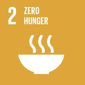 Goal 2: End hunger, achieve food security and improved nutrition and promote sustainable agriculture 2.1 End hunger and ensure access to food for all 2.2 End all forms of malnutrition 2.