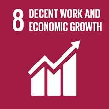 Goal 8 cont d 8.6 By 2020 substantially reduce the proportion of youth not in employment, education or training 8.