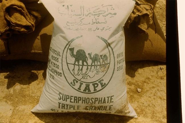 Photo No. 31 Medic does require an annual dressing of phosphate fertiliser.