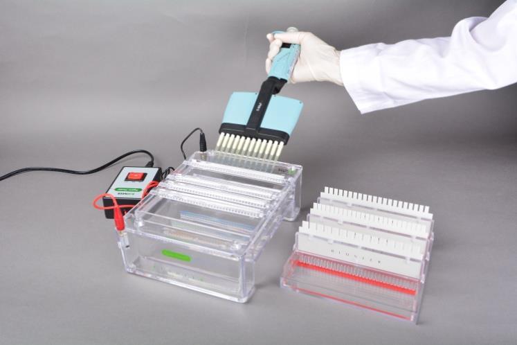 1. Introduction Agaro-Power TM is a complete horizontal gel electrophoresis system, developed specifically for multiple sample/high throughput analysis.